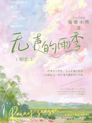 无声的雨季