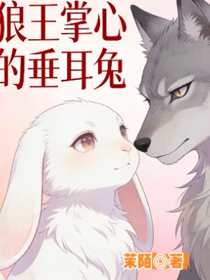 狼王掌心的垂耳兔