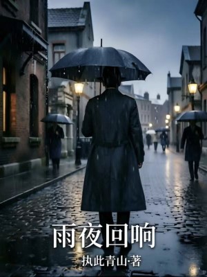 雨夜回响