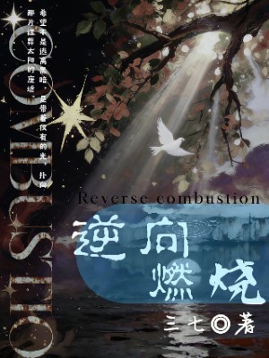 逆向燃烧