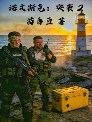 诺文斯克：突袭 2