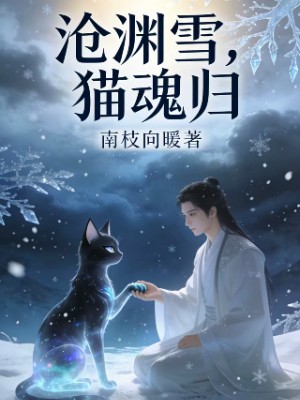 沧渊雪，猫魂归